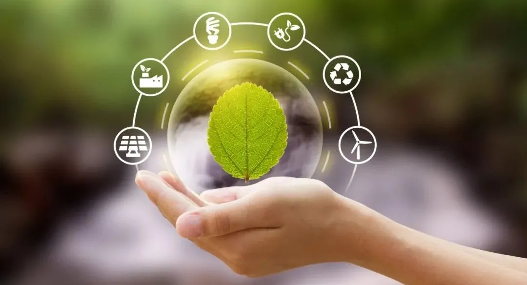 1734420300867539.jpg eco.jpg